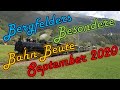 Bergfelders Besondere Bahn-Beute | September 2020