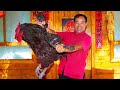 Coq noir de 75 kg en cuisine  dlicieux du bec  los  oncle rural gourmet