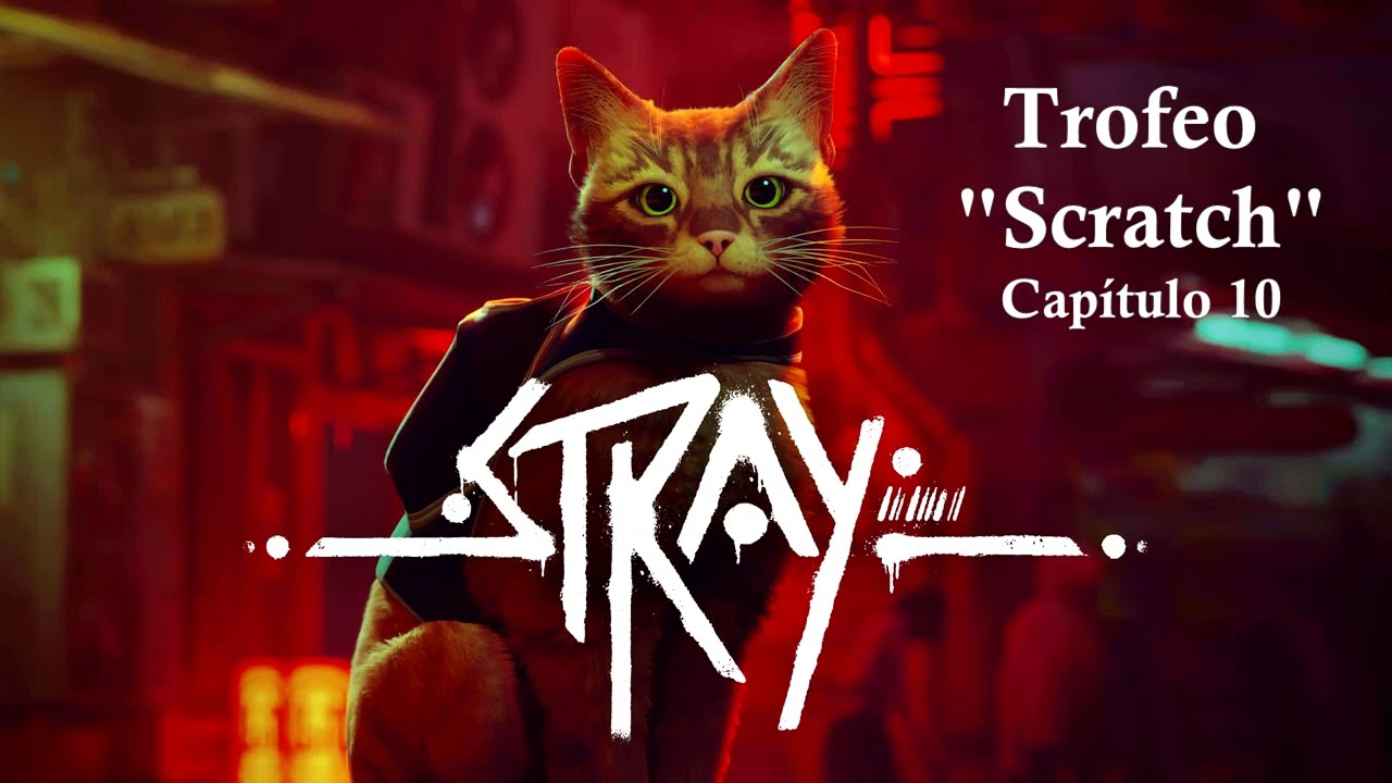 Guía Trofeo "Scratch"  - Stray
