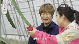 《我的美丽乡村》 20221229 美丽乡村样板间|农业致富经 Agriculture And Farming