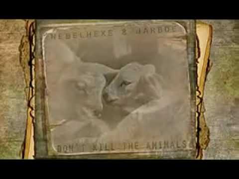 Nebelhexe & Jarboe - Don't Kill the Animals