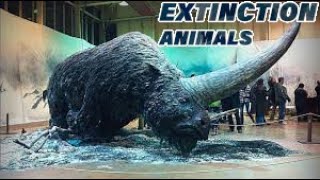 10 Extinct Animals Scientists Are Bringing Back Soon/معدوم جانوروں کو سائنس دان جلد ہی واپس آئے