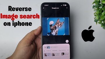 How to reverse image search on iPhone