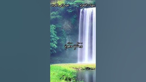 تلاوة عطرة بصوت الشيخ عبيد زكى الكردى من سورة الشعراء 🎧❤️🕋👑 #القرآن  #حالات  #قران_كريم