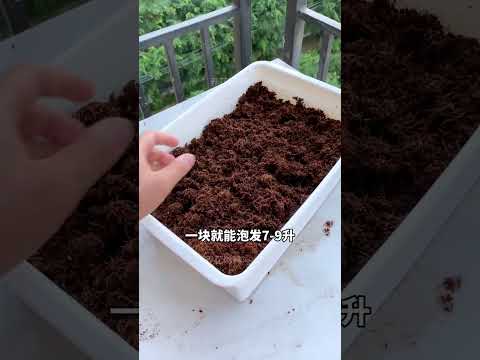 自从在阳台养花种菜用了 #椰砖 ，我再也不想用其他土了 #室内盆栽  #阳台种植  快手#shorts