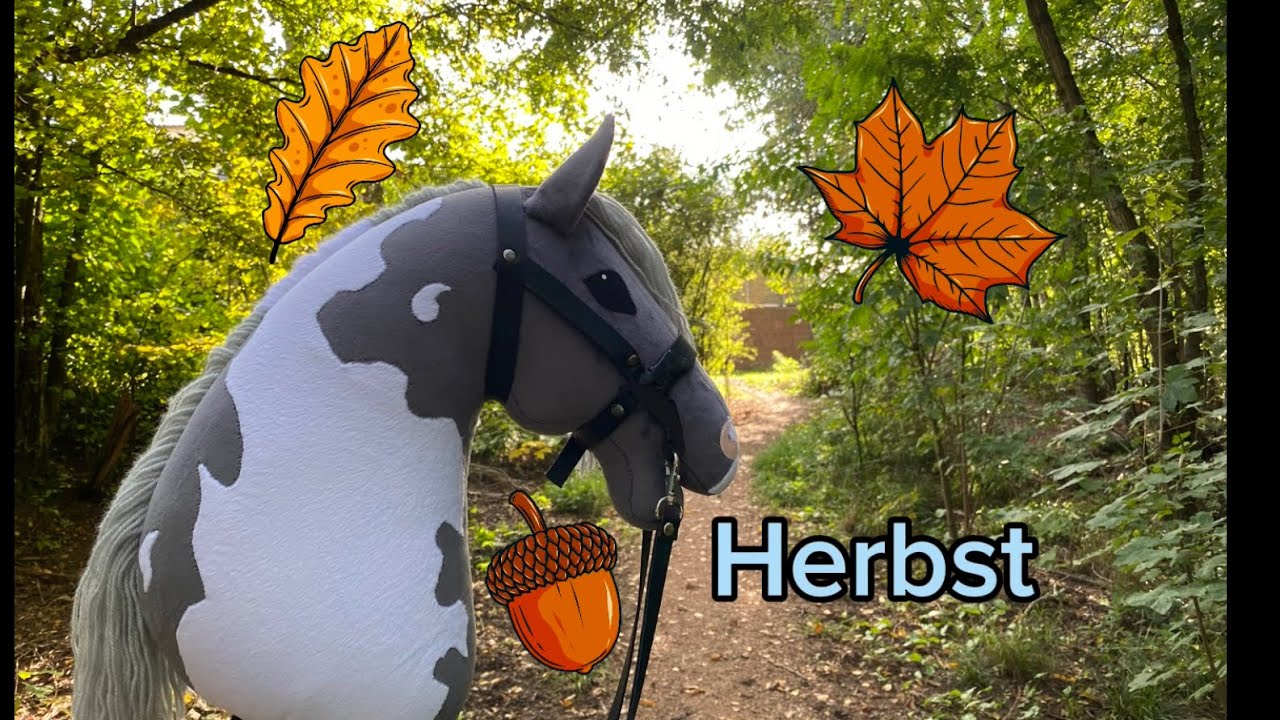 Ausritt  und Fail 🤣