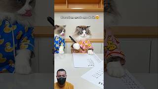 Cc Create This For Your Little Ones