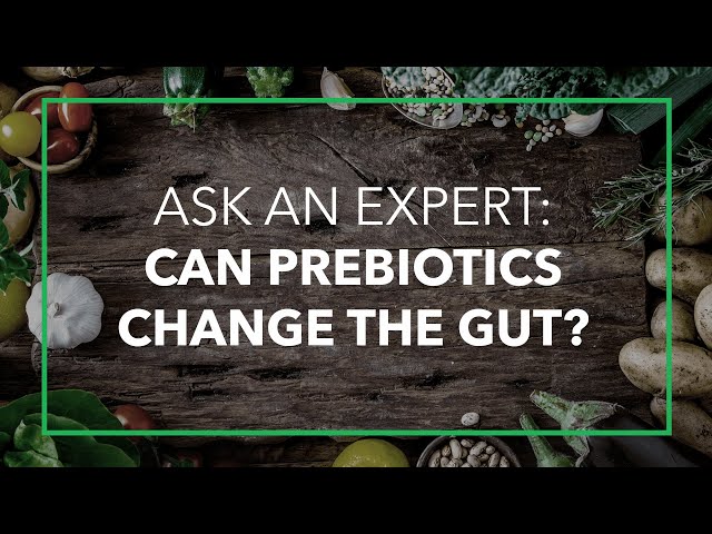 Can Prebiotics Really Change The Gut? Ask An Expert with Robert Martindale, MD, PhD
