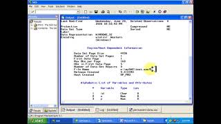 Celebrity SAS- Libname Intro Profile