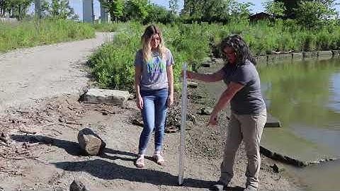 Water Quality Testing Protocols - Virtual Training | Turbidity Test