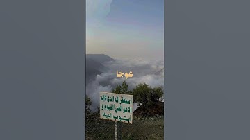 القارئ محمد ايوب، اكتب شيء تؤجر عليه🤍#قران_كريم