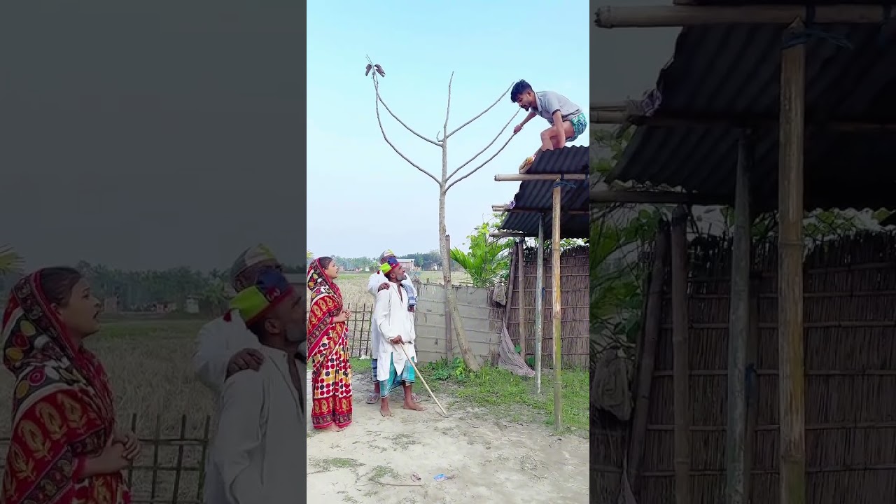 Comedy video 🌼 📹 🤣 