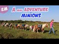 8 Minis go to Minions