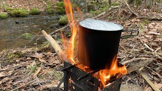 Foraging for Fiddleheads: A Bushcraft Lunch & Coffee on a Firebox