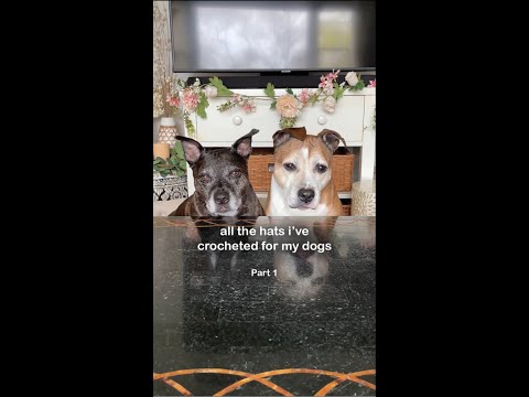 वीडियो: कुत्तों के लिए घर का बना खुजली राहत