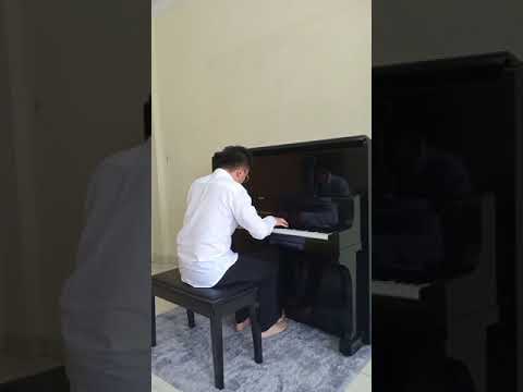 Schumann Kinderszenen Op. 15 No. 7 Träumerei (Reverie/ Dreaming)