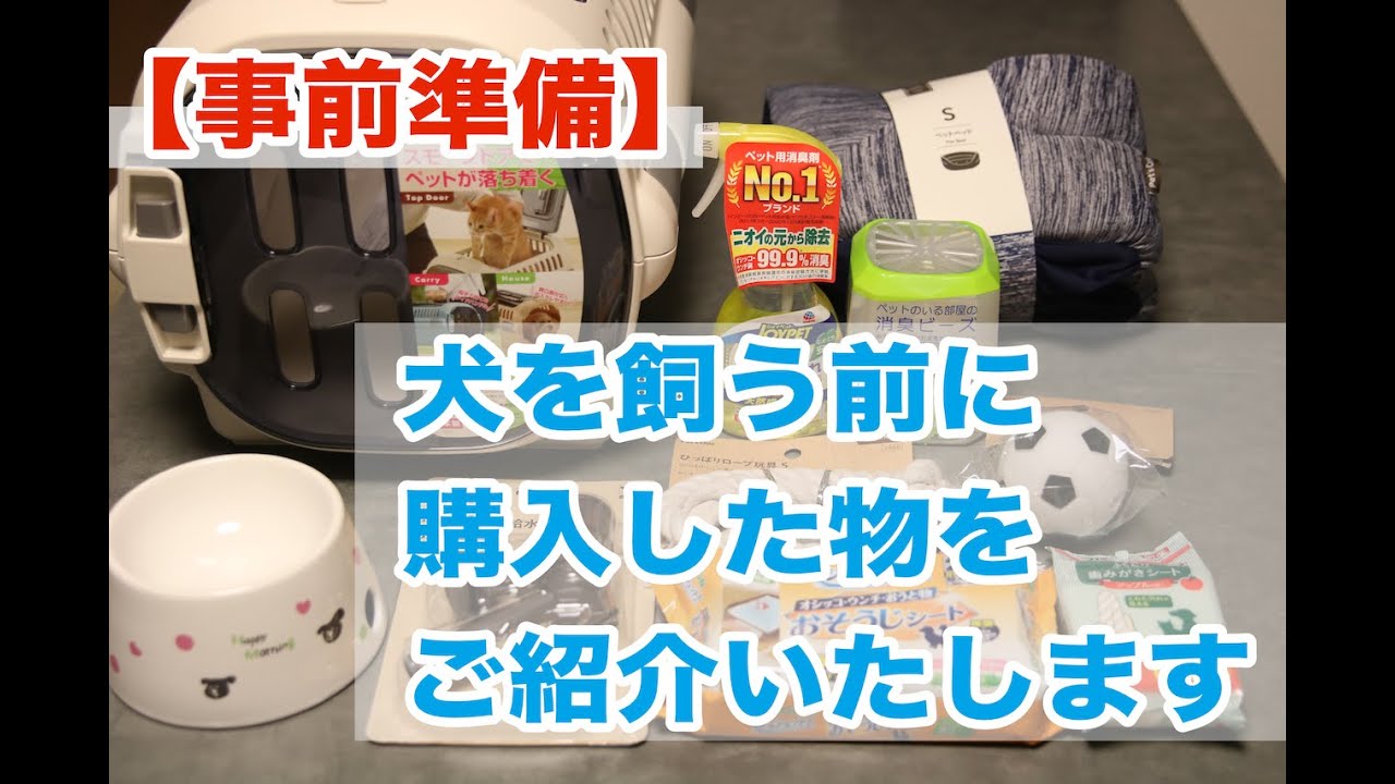 事前準備】黒豆柴の子犬を迎え入れる前に購入したものをご紹介