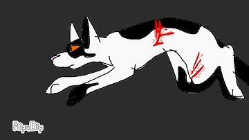 Map part 6 swiftpaw x brightpaw , angel with a shotgun