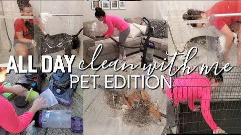 ALL DAY SATISFYING CLEAN WITH ME | How to keep a c...