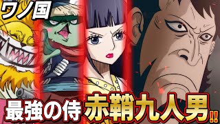 ワンピース ワノ国最強の侍集団赤鞘九人男を徹底解説 Youtube