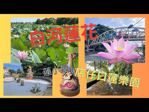 20250703跟“萬ㄟ”一起eye台灣~旅遊。車露。生活~白河蓮花&店仔口景觀公園請打開CC字幕 4K
