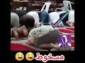 موشاغب