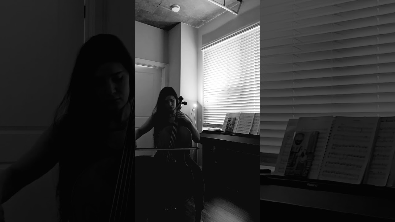 Some Pieces I Learned in my Year and 5 Months of Cello Lessons as an Adult Returning Student!