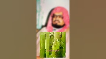 علي جابر سوره الانعام