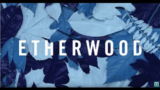 Video-Miniaturansicht von „Etherwood - We're Nothing Without Love (feat. S.P.Y)“