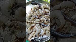 shrimp fish recipe