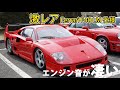 Ferrari F40 LM仕様のエンジン音/フェラーリの希少車