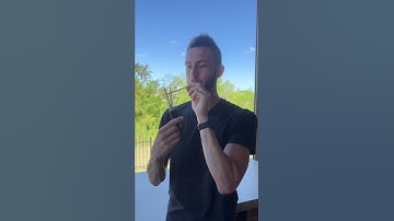 How To Make An Instrument Out Of A Straw😳🎶 #Shorts