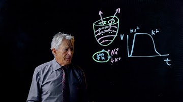 20.1  Chaos and Cardiac Arrhythmias