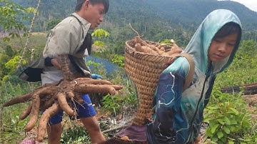 peb khawb qos  mus  pub npua