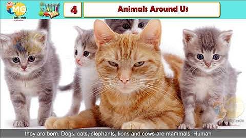 ANIMALS AROUND US || CHAPTER 4|| CLASS 4|| EVS || FREE ONLINE LEARNING CLASS