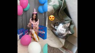 Download Lagu Cat #shorts #cute #moments MP3