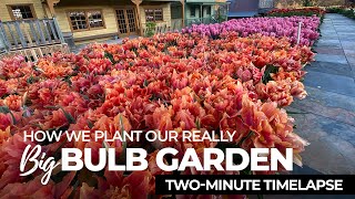 How We Plant Our Really Big Bulb Garden (A Two-Minute Time Lapse)