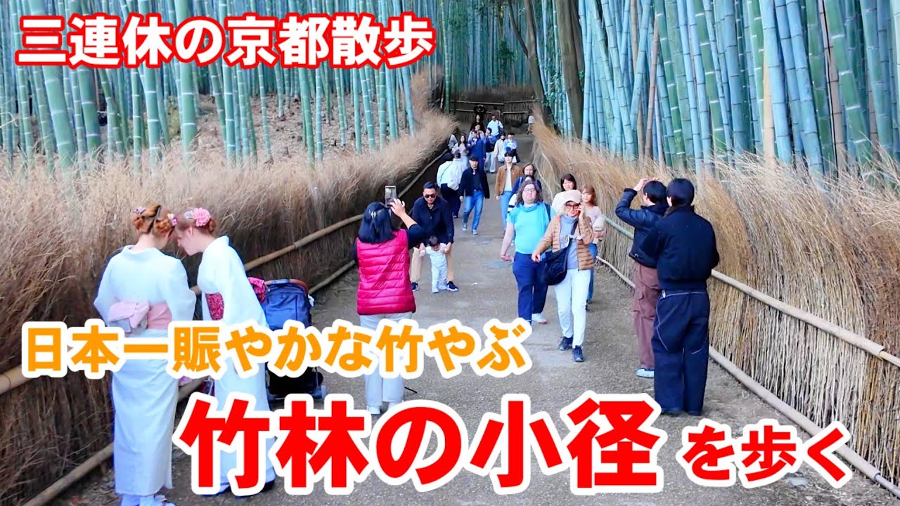 2/23(月祝)三連休の京都散歩 日本一賑やかな竹やぶ 嵐山竹林の小径〜竹林の散策路を歩く【4K】Kyoto Japan Walk