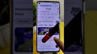 New Google Tricks  ? You Dont Know Shorts