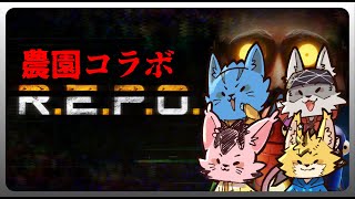 【農園コラボ】どういうゲームかわかってないREPO🐈《ケモノVtuber》