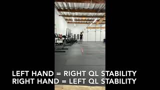 Dynamic Core Suitcase Carry