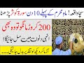 See the perfection of reciting Surah Kusar in the first ten days of Muharaam 2021 | Islamic Teacher