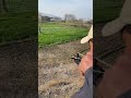Aim at a Lapwing, But the Bird Escaped #slingshot #harehunting #hunting #huntingbirds #shorts#varil