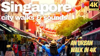 Singapore walking tour - City walks & sounds - traffic ambience screenshot 4