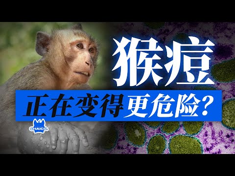 突入香港！全球流窜4个月，猴痘正在变得更危险？Monkeypox broke into Hong Kong! Is monkeypox becoming more dangerous?