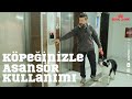 Köpeğinizle Asansör Kullanımı