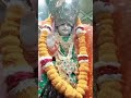 Jai ho Mata ji ki | jubin nautiyal | navratri | Durga maa #trending #ytshorts #shortfeed #devotional
