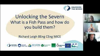 The Story of Diglis Fish Pass