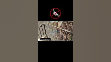 #YPL Safety Nets - Your Trusted #Anti-Bird Net Solutions