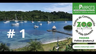 PART #1 - DEL ISTMO CONSERVATION CENTER by Awiparrots